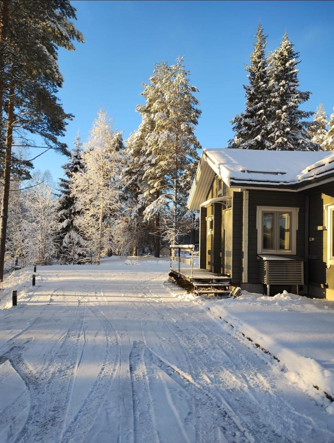 Villa Aleksi With Sauna Рованиеми Экстерьер фото